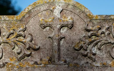 Historia desde abajo y Genealogía